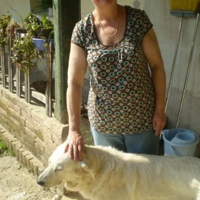 Judit