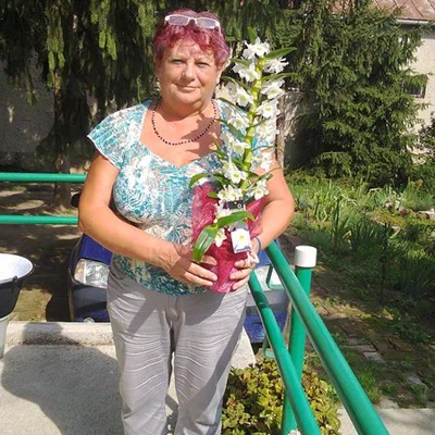 Mária