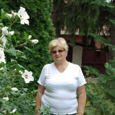 Rózsa