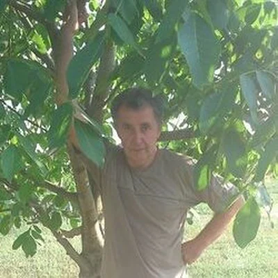 Imre