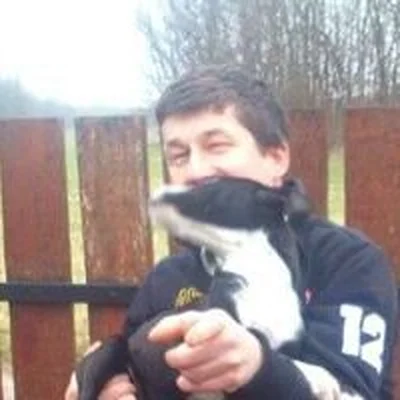 TIBOR