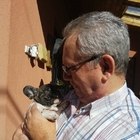 Nyomdász, társkereső Hatvan