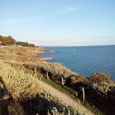 Andor