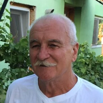 Tibor, Temesvár