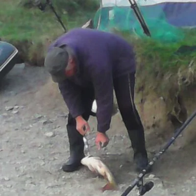 Tibor
