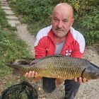 Kovacs, társkereső Diószeg