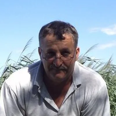 Zoltán
