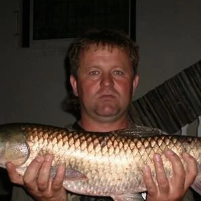 Csaba