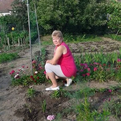 Erzsébet