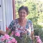 JUDIT