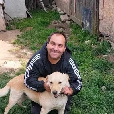 Pálfi