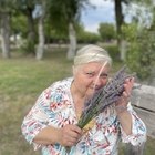ALIZ, társkereső Pécs