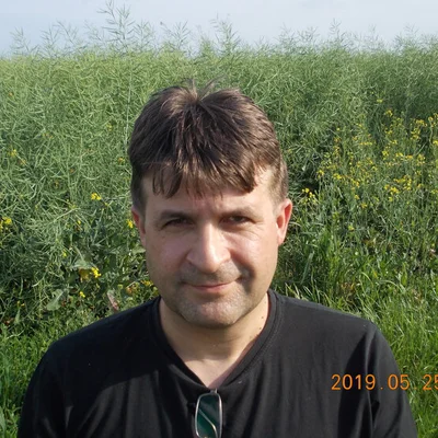 Gábor, Nagykároly