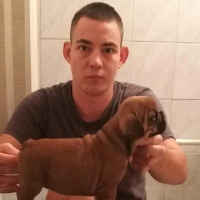 Tibor