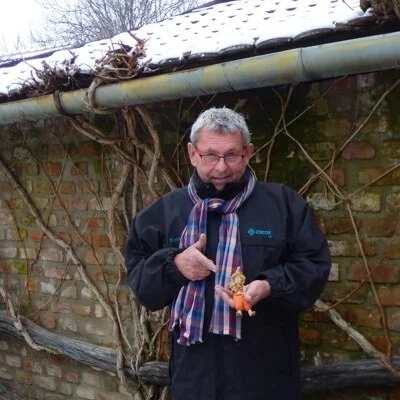 Tamás, Nagykörű