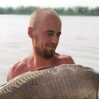 Tamás, társkereső Mons