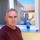 Attila, társkereső Zenta