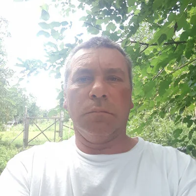 Tibor, Enying