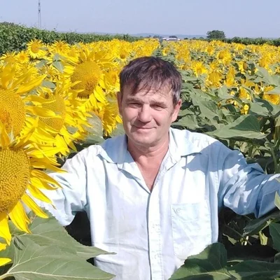 András