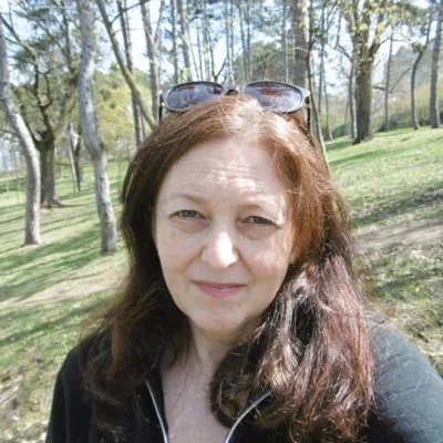 Viola, Kolozsvár