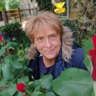 Katalin, társkereső Budapest