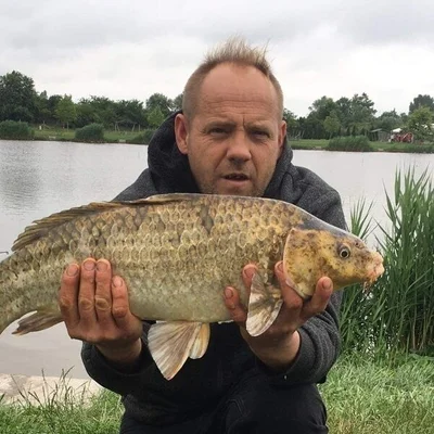 Laszlo, Balotaszállás
