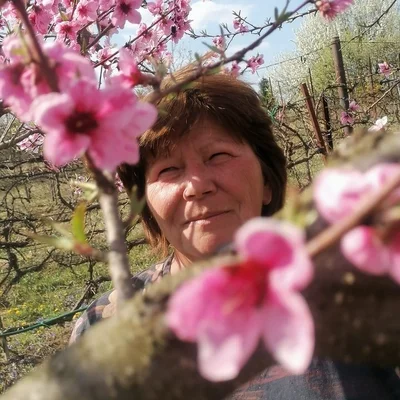 Zsóka, Kazincbarcika
