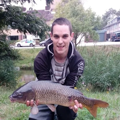 Tomi, Vlaardingen