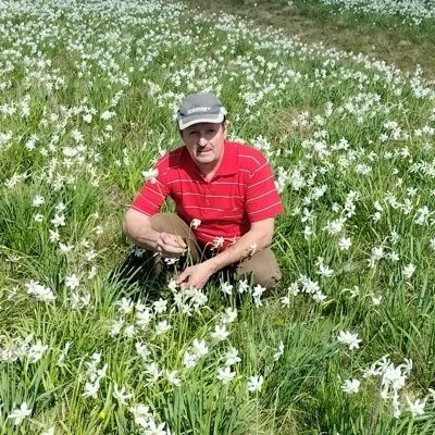 Tibor