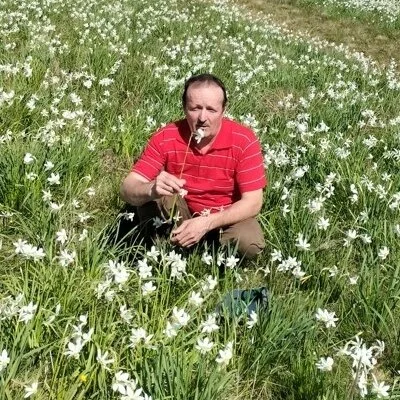 Tibor