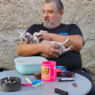 Tibor