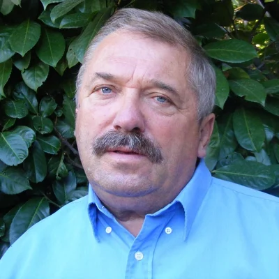 István, Székesfehérvár