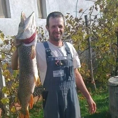 Zsolt