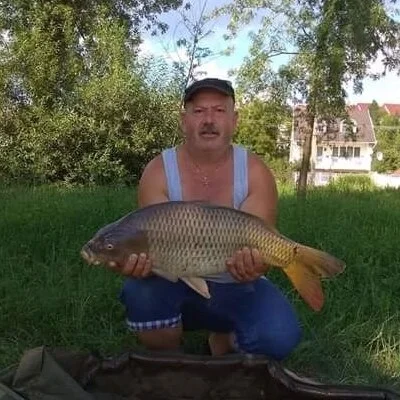 Zoli, Ózd