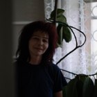 Bea, társkereső Ököritófülpös