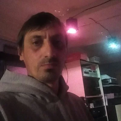 CsFerenc, Elek