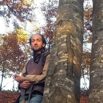 Ferencz, Kolozsvár