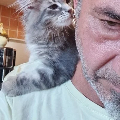 Csaba