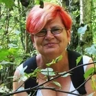 Anna, Sopron