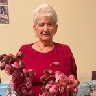 Erzsébet, társkereső Budapest