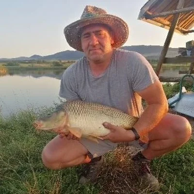 Zsolt