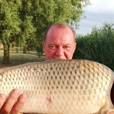 Tivadar