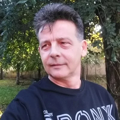 Mihály, Nagybecskerek