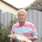 Zoltán, társkereső Baja