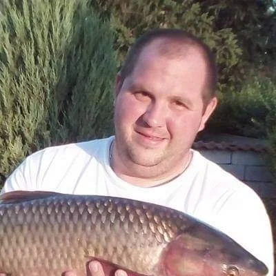 Dániel, Mosonmagyaróvár