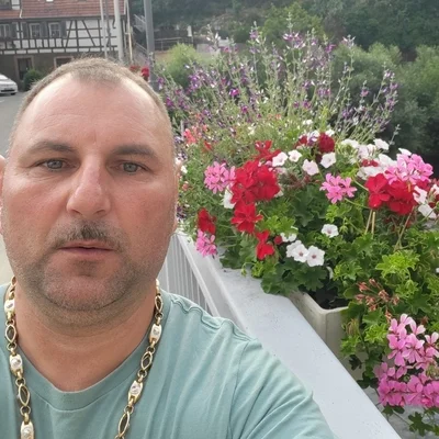 Gimi