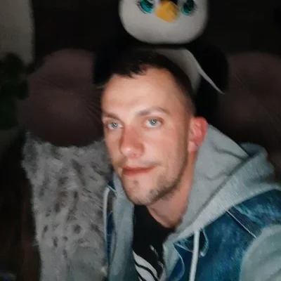 Robert, Mezőpanit