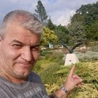 Janos, társkereső Eferding