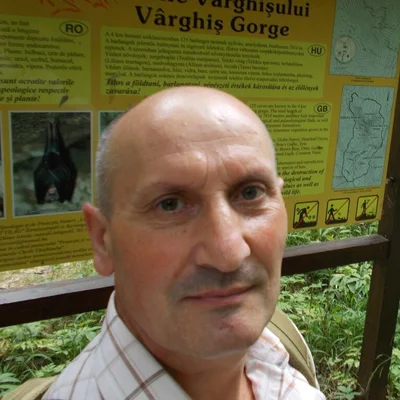 Karoly, Kovászna