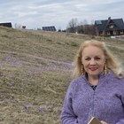 Erika, társkereső Budapest